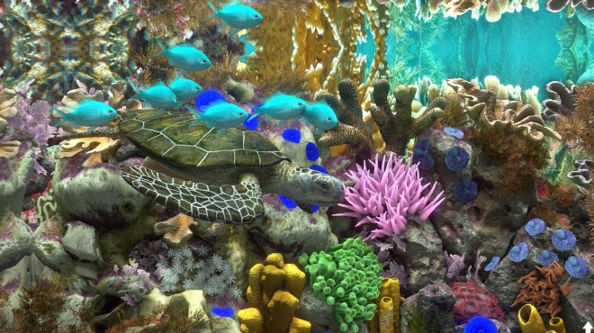 Behind Glass Aquarium Simulator Update v1 2 PC Crack