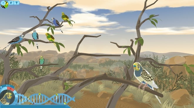 Budgie Genetics Simulator Torrent Download