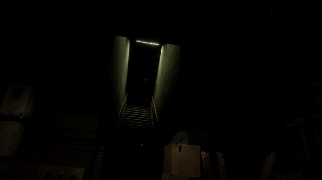 Forest 6174 PC Crack