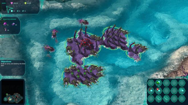 Moduwar Torrent Download
