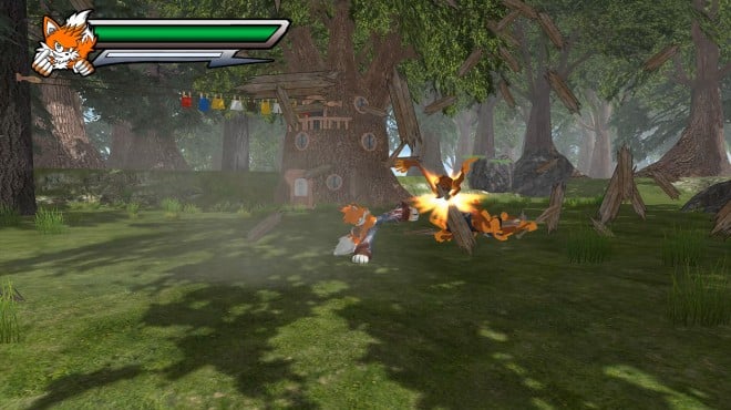 Taiwan Coolfox Torrent Download