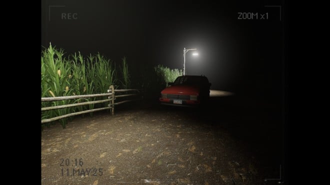 What Happened to Lily? Torrent Download