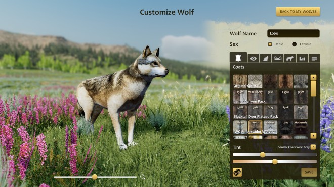 WolfQuest Anniversary Edition Torrent Download