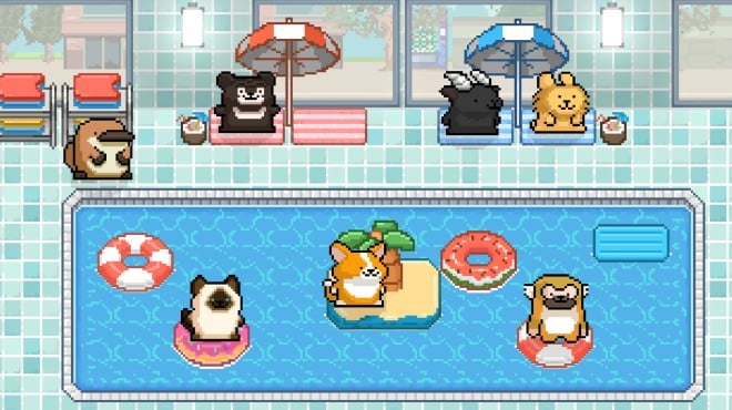 Malteses Fluffy Onsen Summer Torrent Download