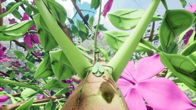 Nature And Life Drunk On Nectar v1 0 4 5 1 Torrent Download