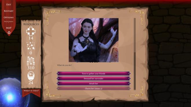 DnD Adventure: Wizard's Choice Torrent Download