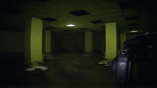 HorrorCore: Maze and Pools of Horror Torrent Download