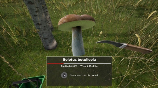 Mushroom Hunter World PC Crack