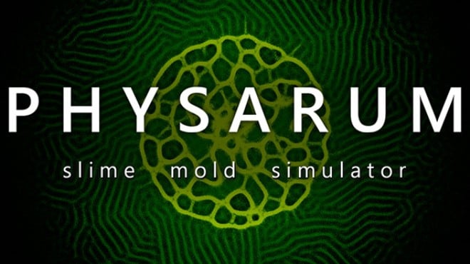 PHYSARUM: Slime Mold Simulator Free Download PHYSARUM: Slime Mold Simulator Free Download