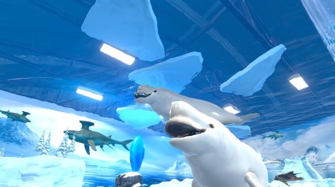 Aquarist Arctic Torrent Download