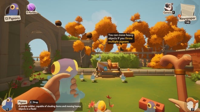 The Bench Torrent Download