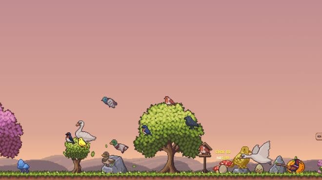 Little Aviary PC Crack