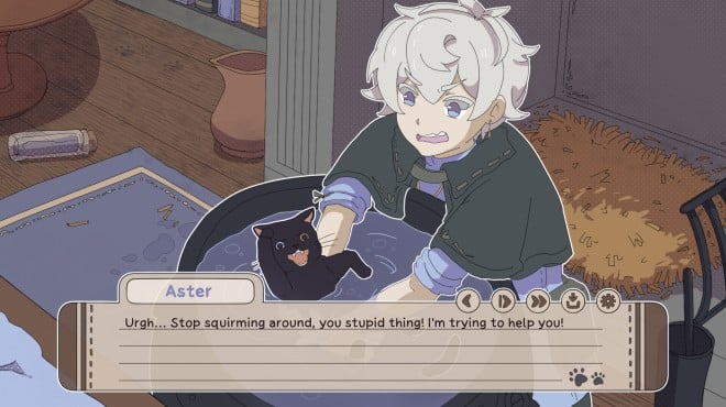 My Confounding Cat is Criminally Cute! Torrent Download