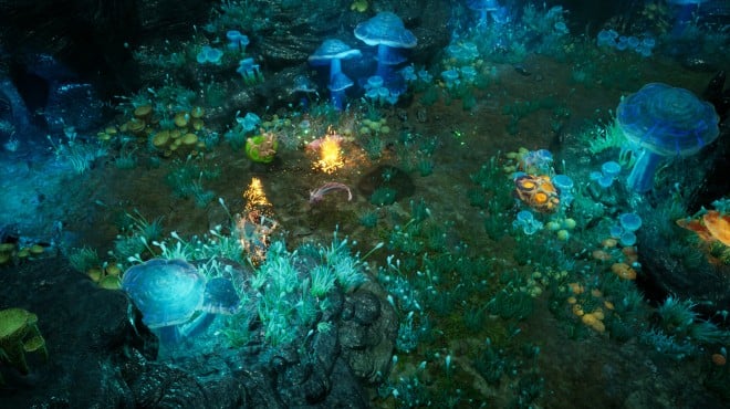 Rise Again Torrent Download