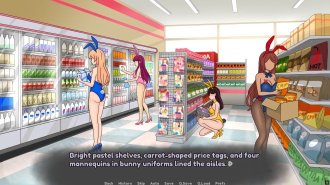 Are There Bunny Girls in the Corner Store? Torrent Download