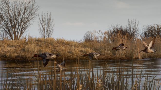 BULT: Hunting simulator PC Crack BULT: Hunting simulator PC Crack