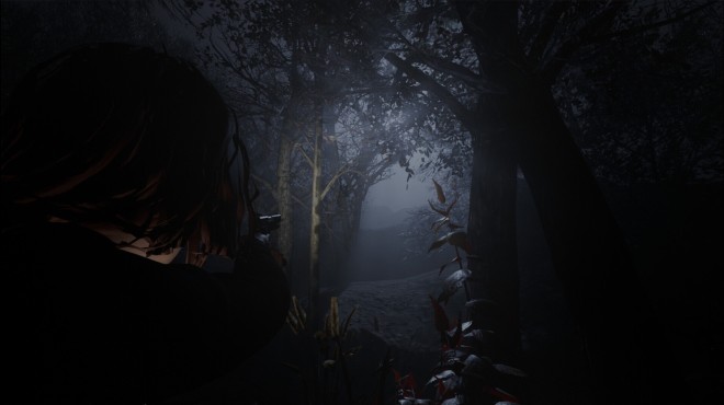 Cult of Dawn PC Crack