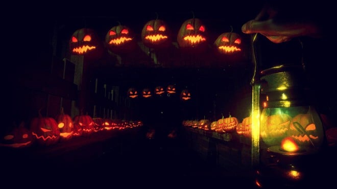 Terror in the Corn Torrent Download