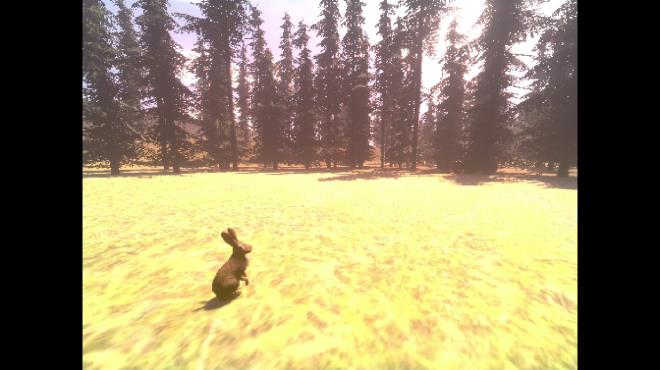 Witch Stories PC Crack Witch Stories PC Crack