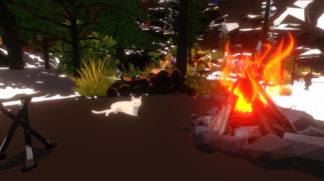 Campfire with Cat PC Crack