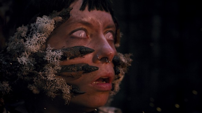 Heart of the Forest Torrent Download