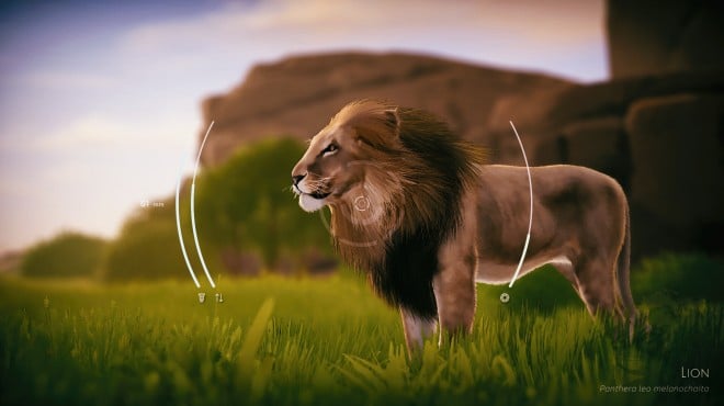 Seclusa Torrent Download Seclusa Torrent Download