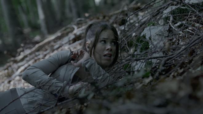 The Run Torrent Download The Run Torrent Download