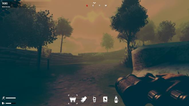 Birds Watching PC Crack