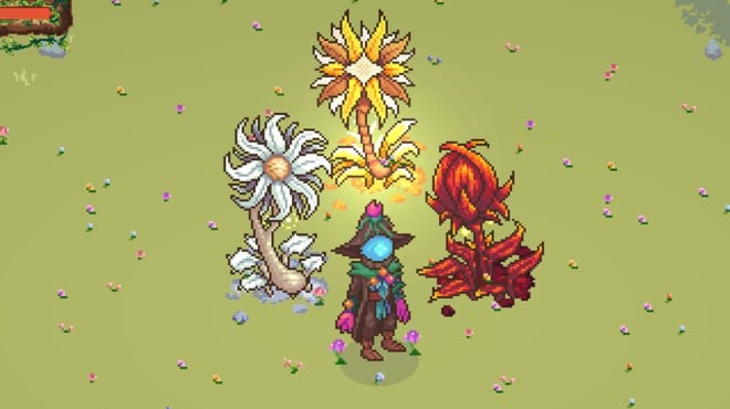 FloraMancer : Seeds and Spells Torrent Download FloraMancer : Seeds and Spells Torrent Download