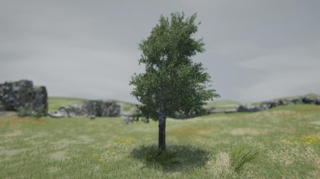 Tree Simulator 2021 PC Crack