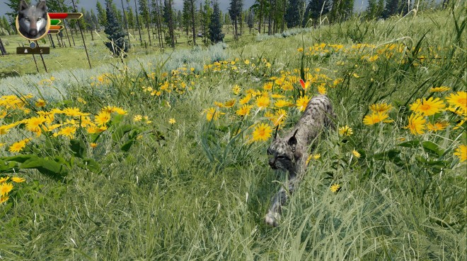 WolfQuest Anniversary Edition Tower Fall Update v3 0 1d Torrent Download