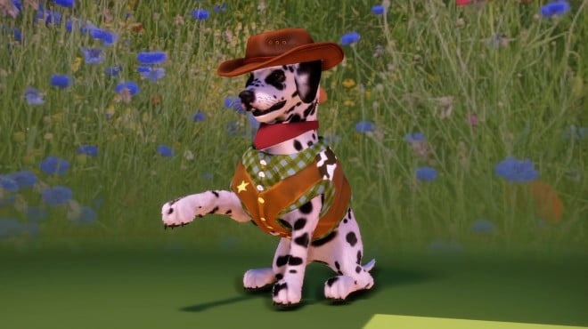 Animal Shelter 2 Hunting Dogs Pack PC Crack