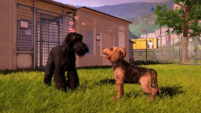 Animal Shelter 2 Hunting Dogs Pack Torrent Download