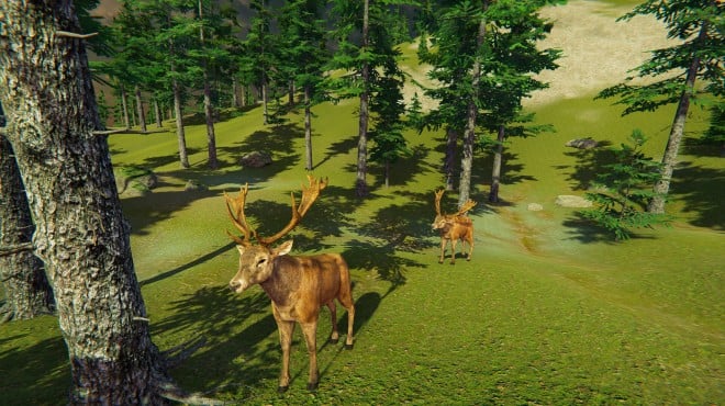 Nucleares Island Fauna PC Crack Nucleares Island Fauna PC Crack