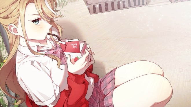 Secret Some PC Crack