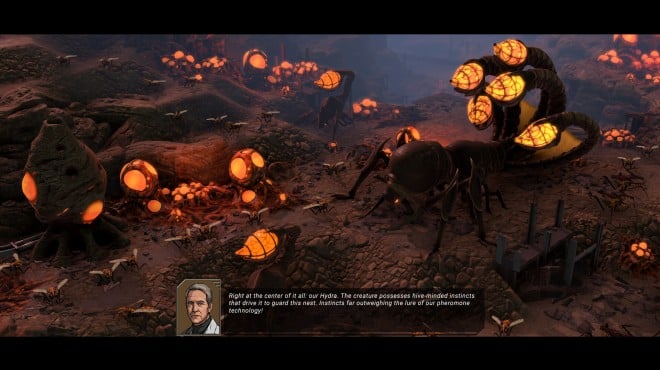 Starship Troopers Terran Command The Eradicators Torrent Download