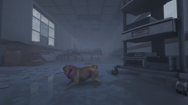 The Good Dog: Chasing Shadows Torrent Download The Good Dog: Chasing Shadows Torrent Download