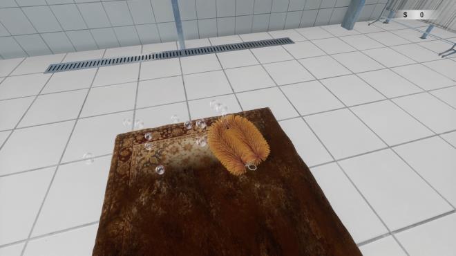 Carpet Cleaning Simulator Torrent Download Carpet Cleaning Simulator Torrent Download