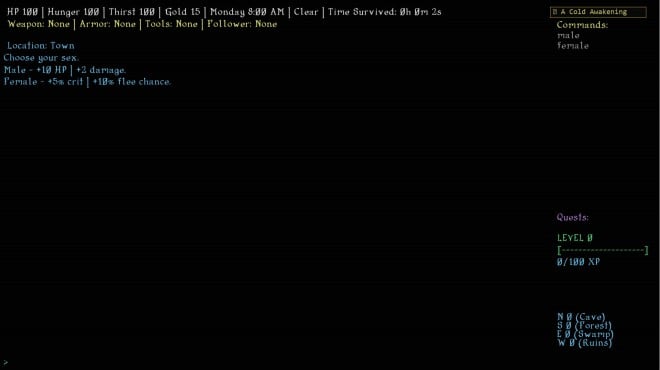 Dark Hollow RPG PC Crack Dark Hollow RPG PC Crack