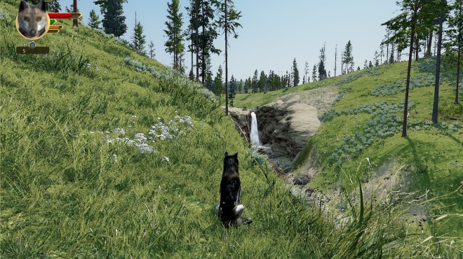WolfQuest Anniversary Edition Tower Fall Update v3 0 1k Torrent Download