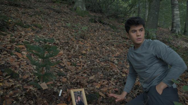 Wordless Forest Torrent Download