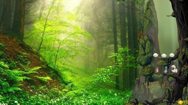 Fantasy Bird Woods Torrent Download Fantasy Bird Woods Torrent Download